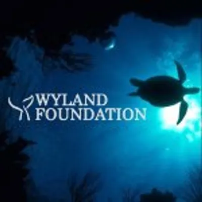 Wyland Foundation profile