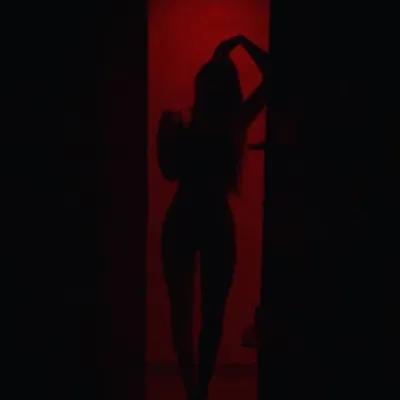 . profile