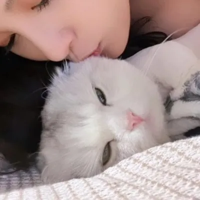 达玲 | 曾湘綾 🐷🐽 profile