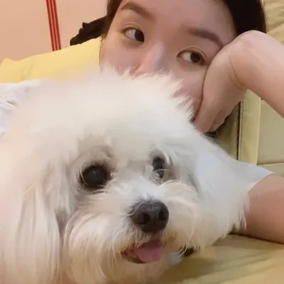 Xin Yii profile