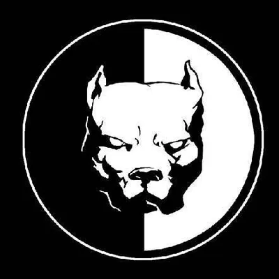 XL American Bullies profile