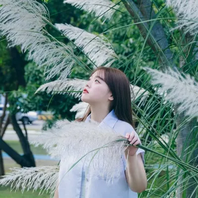 豆 콩콩 |台中美食 景點 旅遊 profile