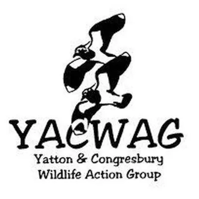 YACWAG Wildlife Action Group profile