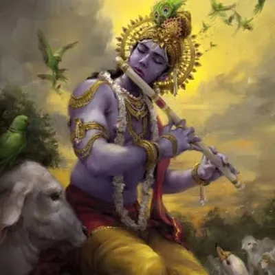 Krishna yadav profile