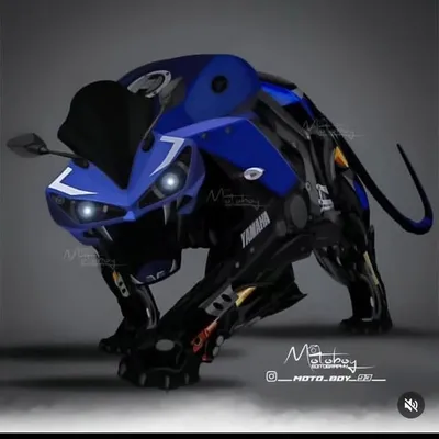 Yamaha R15 lover ๐ profile