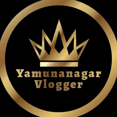 YNR VLOGGER profile