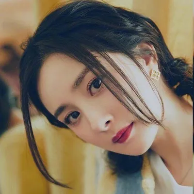 Yang Mi Thailand Fans🐝 profile
