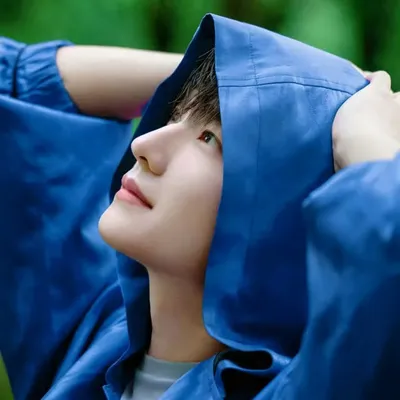 杨洋(Chinese Actor) FANPAGE profile