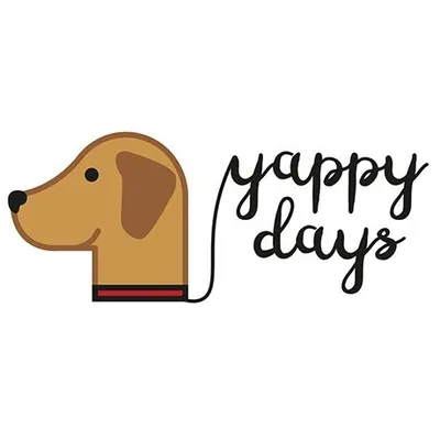 YappyDays2017 profile