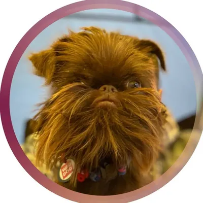 Yasha Griffey Brown Neris profile