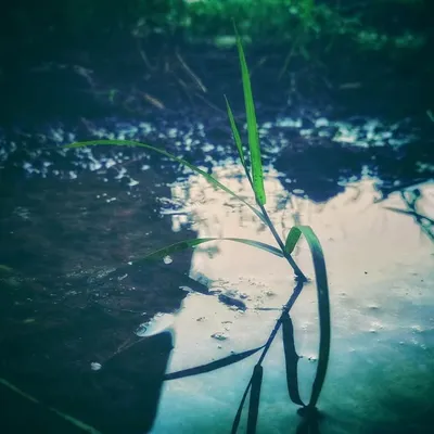 மஞ்சள் மாநகர் profile