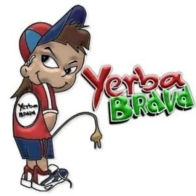 Yerba Brava Original profile