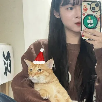 依仔 profile