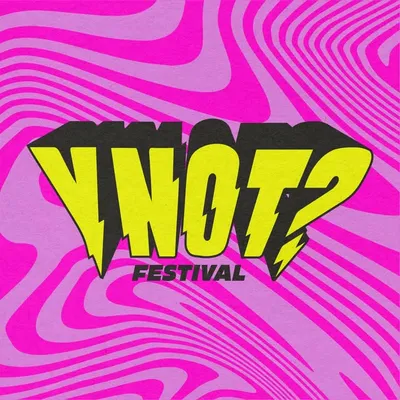 Y Not Festival ⚡ profile