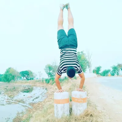 Yoga Wellness & Fitness profile