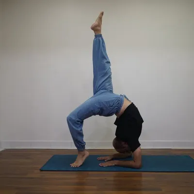 Kalpesh AshtangaYogaTeacher profile