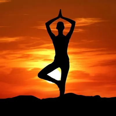 Yoga UK profile