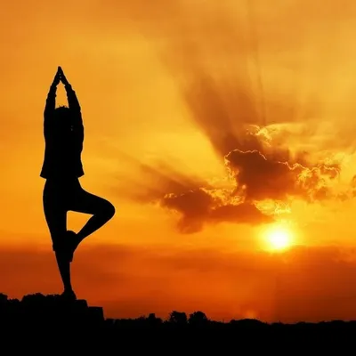 yoga_naturecure profile