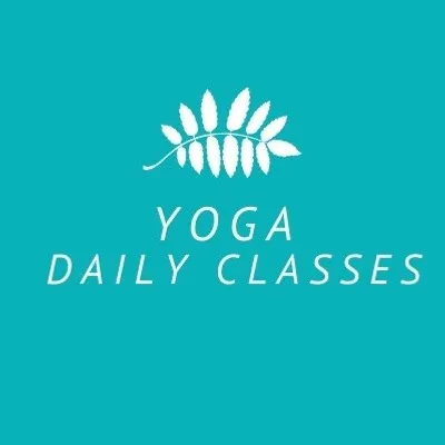 Yoga Daily Classes profile