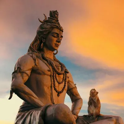 BE YOGI profile