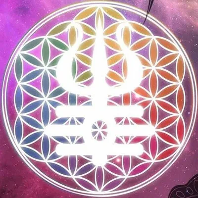 Sociedade Brasileira de Yoga Integral profile