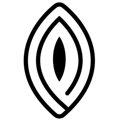yonimag profile