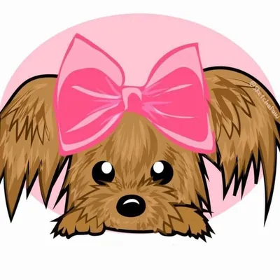 Vodkita profile