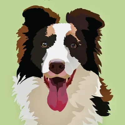Yoshi🤎 profile
