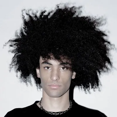 Omar Ryad profile
