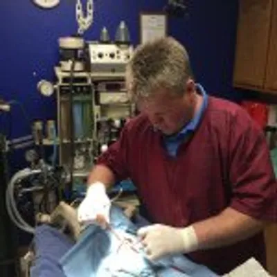 Young Veterinary Clinic profile