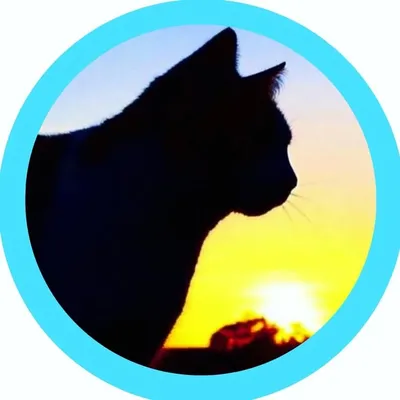 ๐ป๐๐๐ญ ๐
๐๐๐ญ๐ฎ๐ซ๐๐ป Twitch Design ๐ง๐ป profile