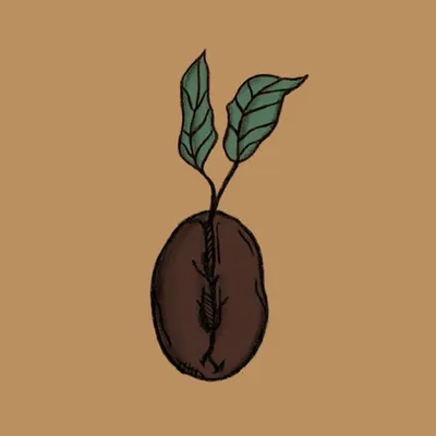 Coffee Recipes & more profile