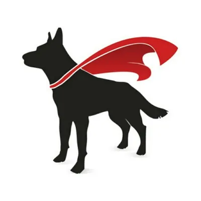 Your Dream Dogs profile