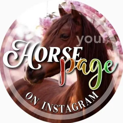 yourhorsepage profile