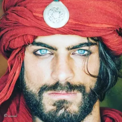 Youssef Ben Hayoun Sadafi profile