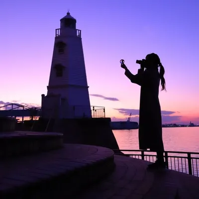てっとう日和🗼✨ profile