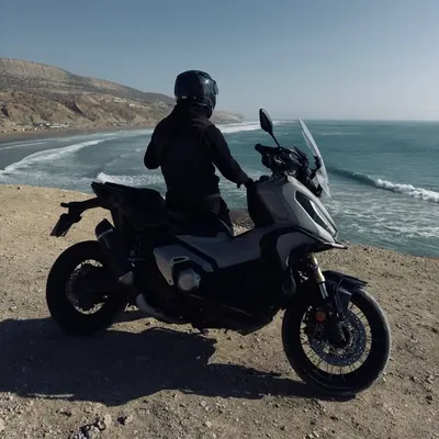 مغرابي ⚝ ٢١٢ profile