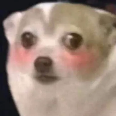 Memes profile