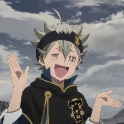 Black Clover ๐ profile