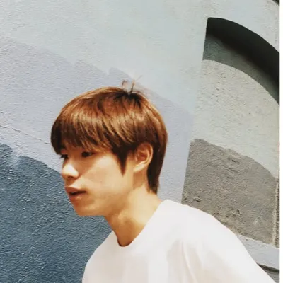 堀米雄斗 profile