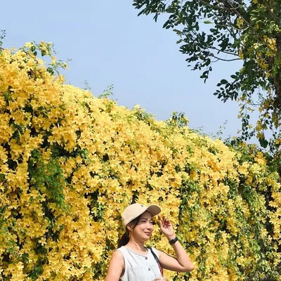 Yuyik profile