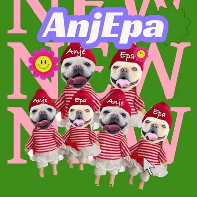 🧃AnjEpa🍿 profile