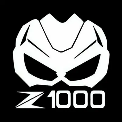 Z1000 OFICIAL™ profile