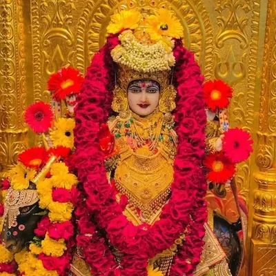 Zala Mahesh profile