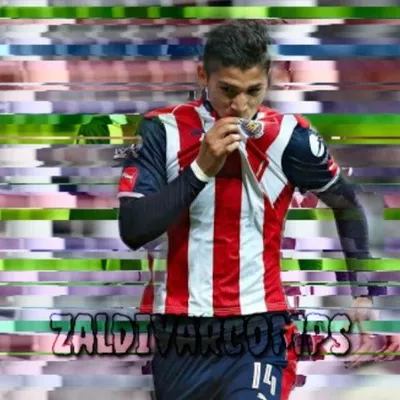 rojiblancos🔴⚪ profile