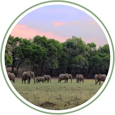 ๐๐พ Zambian โฅ๏ธ Explorers ๐ฟ๐ฒ profile