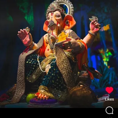 Zankhana Vyas profile