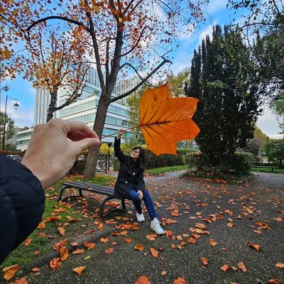 Apple profile