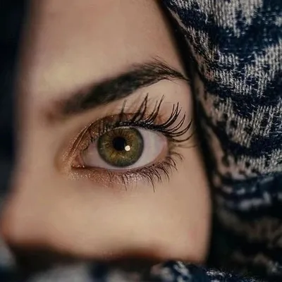 zarnain_arzu profile