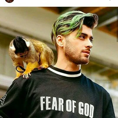 zayn malik (fanepage) profile